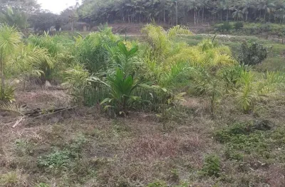 Chácara / sítio à venda na Sete Barras, Zona Rural, Sete Barras