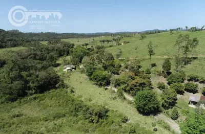 Fazenda à venda na Jacupiranga, Zona Rural, Jacupiranga