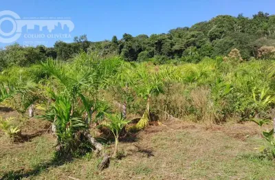 Chácara / sítio à venda na Sete Barras, Zona Rural, Sete Barras