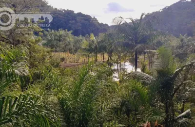 Chácara / sítio à venda na Sete Barras, Zona Rural, Sete Barras
