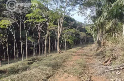 Chácara / sítio à venda na Pariquera-açu, Pariquera-, Zona Rural, Pariquera-Açu