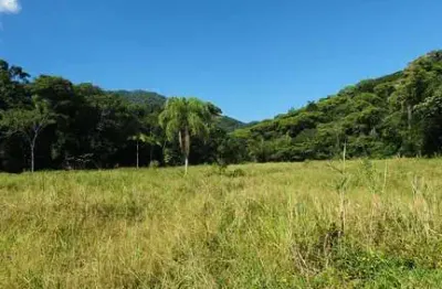 Chácara / sítio com 2 quartos à venda na Cananéia, Zona Rural, Cananéia