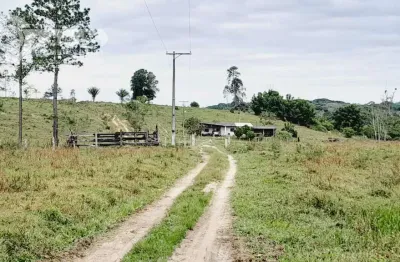 Fazenda à venda na Pariquera-açu, Zona Rural, Pariquera-Açu