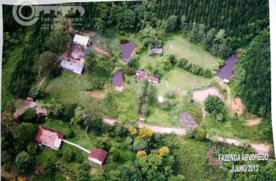 Fazenda à venda na Jacupiranga, Zona Rural, Jacupiranga
