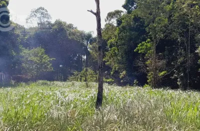 Terreno à venda na Iguape, Zona Rural, Iguape