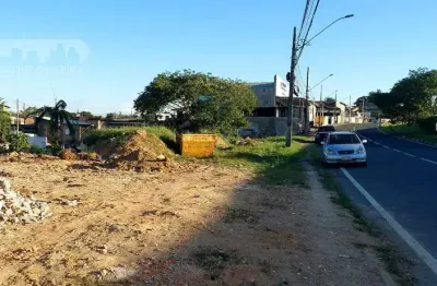 Terreno comercial em avenida castelo branco  -  registro