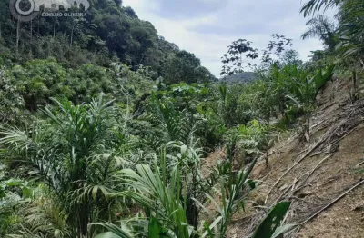 Chácara / sítio com 2 quartos à venda na Sete Barras, Dois Irmãos, Sete Barras