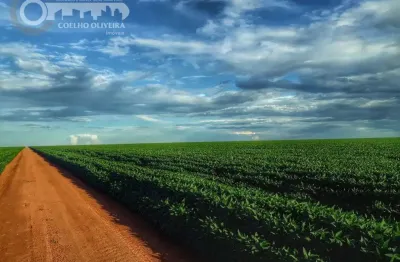 Fazenda à venda na Mato Grosso, Zona Rural, Sinop