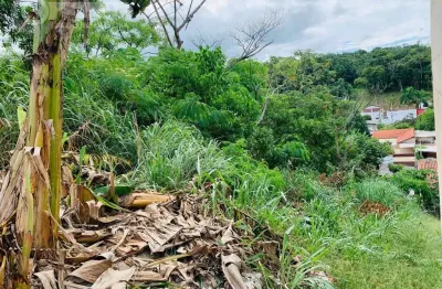 Terreno à venda na Jardim Sao Conrado, Jardim São Conrado, Registro