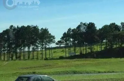 Terreno à venda na Avenida Castelo Branco, registro-s, Centro, Registro