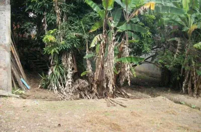 Terreno à venda na Estrada do Jaguaré, 1980, Butantã, São Paulo