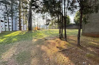 Terreno à venda ou para locação em vila albertina - sp