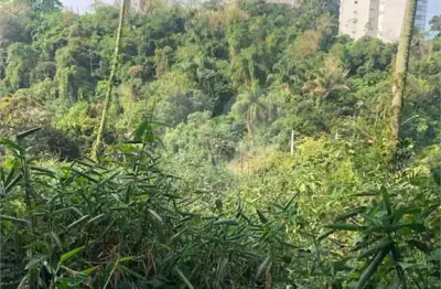 Terreno à venda na Alameda Vinte e Oito de Setembro, Ilha Porchat, São Vicente