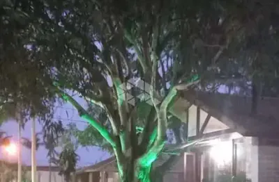 Casa à venda no bairro noiva do mar em xangri-lá com 3 quartos (1 suíte)