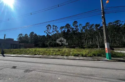 Terreno plano 404m² loteamento terras altas - são francisco de assis - camboriú