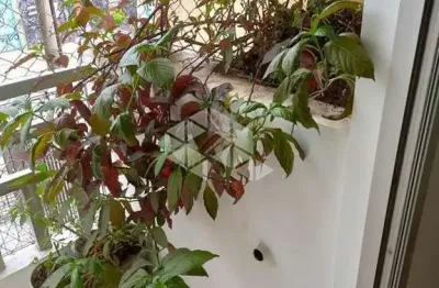 Apartamento com 1 quarto à venda na Rua Manoel Dutra, 0312, Bela Vista, São Paulo