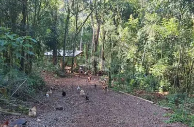 Chácara / sítio à venda na 100 Da Leopoldina, 96, Zona Rural, Monte Belo do Sul
