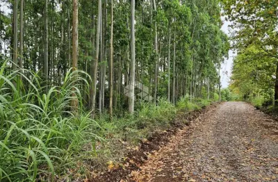 Chácara / sítio com 1 quarto à venda na Bento Gonçalves, 100, Centro, São Valentim do Sul