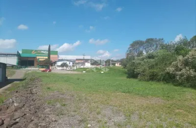 Amplo terreno medindo 25x151 metros ideal para projeto industrial