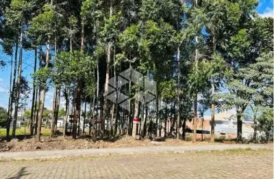 Terreno à venda na Paolo Fenocchio, 72, Universitário, Bento Gonçalves
