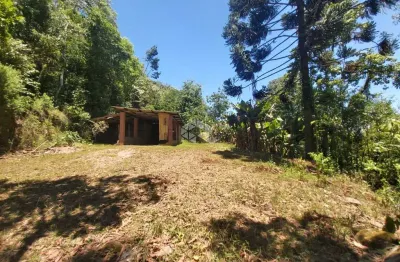Chácara / sítio à venda na Br-470, 1, São Valentin, Bento Gonçalves