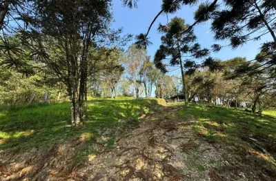 Chácara / sítio à venda na Linha Santa Clara, 1, Zona Rural, Carlos Barbosa