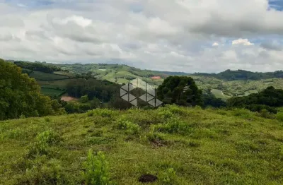 Chácara / sítio à venda na São Pedro, 10, Barracão, Bento Gonçalves