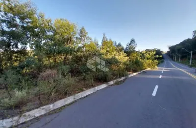 Terreno à venda na Rua Plauto de Abreu, 67, Santo Antão, Bento Gonçalves