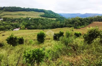 Chácara produtiva dos sonhos na serra gaúcha: viva em meio à natureza e prosperidade!