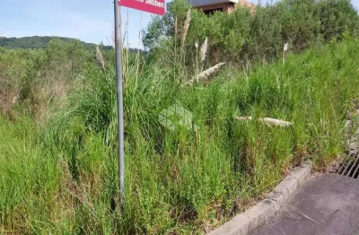 Terreno à venda na Estrada Dos Imigrantes, S/n - Bairro Cruzeiro, 2, Cruzeiro, Bento Gonçalves