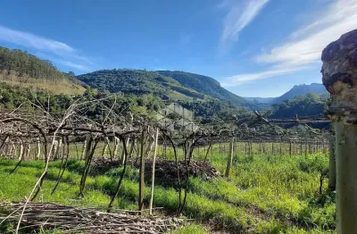 Chácara / sítio com 1 quarto à venda na Pederneira, 10, Zona Rural, Santa Tereza
