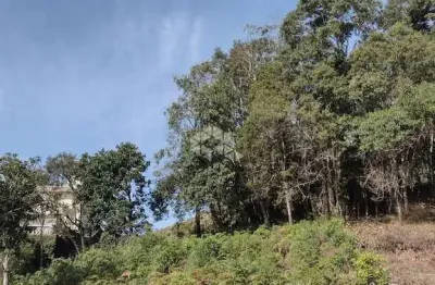 Terreno à venda na rua vereador lucindo joão andreola, 118, santo antão, bento gonçalves, 591 m2 por r$ 430.000