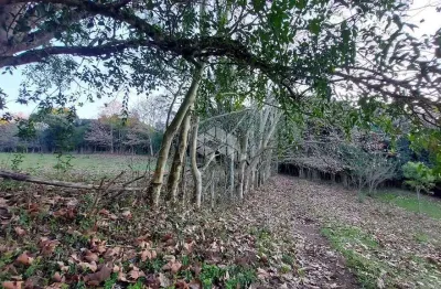 Chácara / sítio à venda na 15 Da Graciema, 5, Vale dos Vinhedos (Distrito), Bento Gonçalves