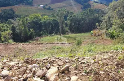 Chácara / sítio com 1 quarto à venda na Mario Salton, 10, Tuiuty (Distrito), Bento Gonçalves