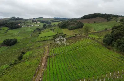 Área de terra na linha leopoldina vale dos vinhedos