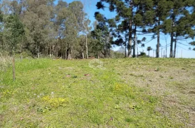 Vende-se encantadora propriedade onde cantam os pássaros, ao amanhecer. sítio, a 20 minutos do centro de bento gonçalves, rio grande do sul.