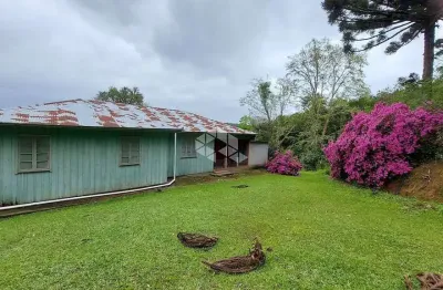 Chácara / sítio com 1 quarto à venda na Linha Argemiro, 41, Centro, Monte Belo do Sul