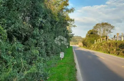 Terreno bem localizado na via principal 444 do vale dos vinhedos