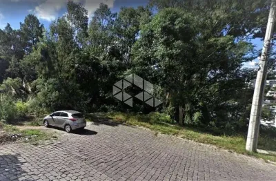 Terreno à venda na Armindo Schenatto, 206, Humaitá, Bento Gonçalves