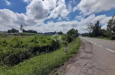 Terreno com excelente frente para rs-453. plano, sem mata, ideal para construção de pavilhões.