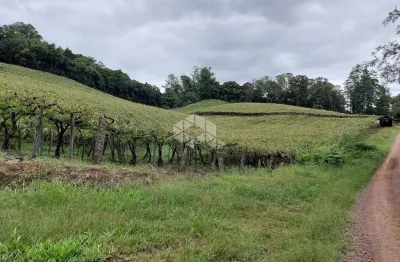 Chácara / sítio à venda na Da Uva E Do Vinho, 50, São Valentin, Bento Gonçalves