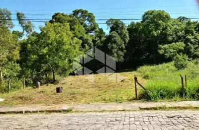 Terreno à venda na Julieta Sassi Dreher, 598, Vinhedos, Bento Gonçalves