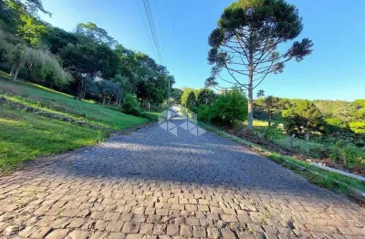 Chácara / sítio à venda na Rs444, 10, Vale dos Vinhedos (Distrito), Bento Gonçalves