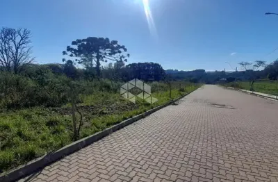Terreno à venda na Ers-431, 1, Nossa Senhora do Carmo, Bento Gonçalves