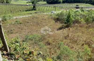 Chácara / sítio vale dos vinhedos monte belo do sul