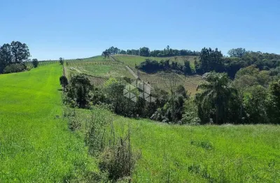 Chácara / sítio à venda na São Jorge, 1, Zona Rural, Garibaldi
