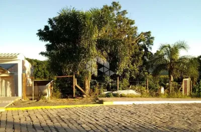 Terreno à venda na Rua Maximino Tranquilo Bortolini, 42, Vinhedos, Bento Gonçalves