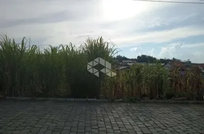 Terreno à venda na Padre Luiz Segale, 1, Centro, Pinto Bandeira