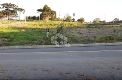 Terreno à venda na Rua Félix Roman, 46, São Valentin, Bento Gonçalves