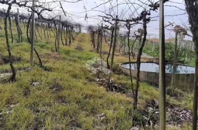 Chácara / sítio à venda na Da Uva E Do Vinho, 15, Vale dos Vinhedos (Distrito), Bento Gonçalves